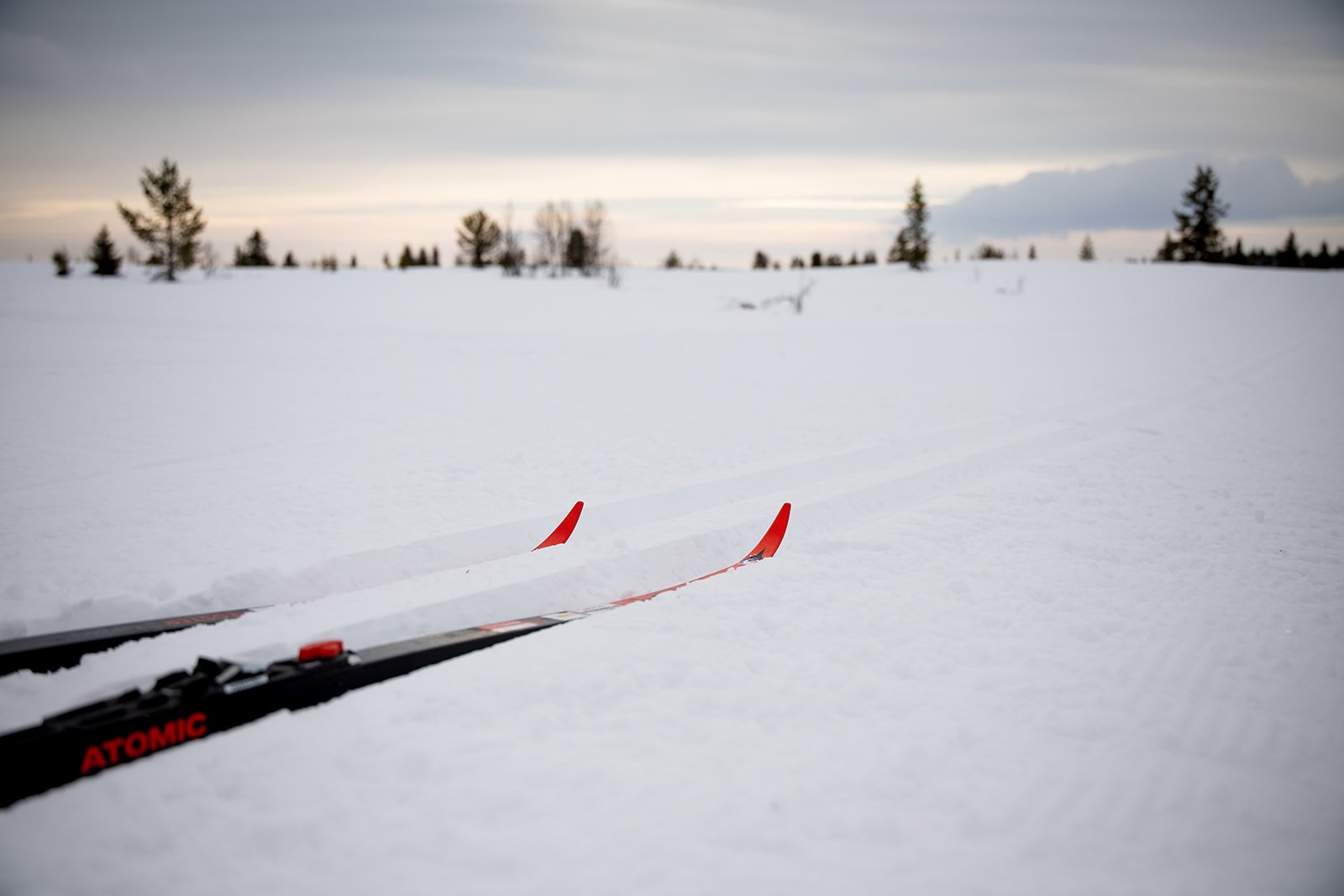 Langrennsløper på ski på Gålå med fjell i bakgrunnen