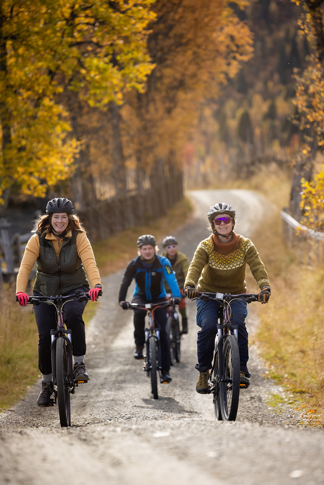 Cyclists on a trip at Gålå in the fall